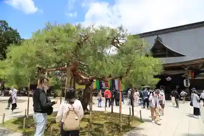 中尊寺(岩手県)