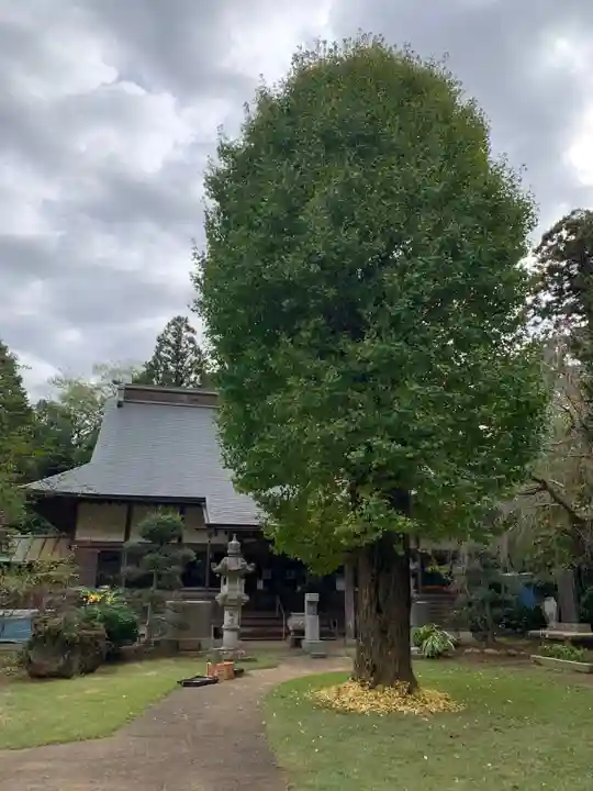 大乗寺(千葉県)