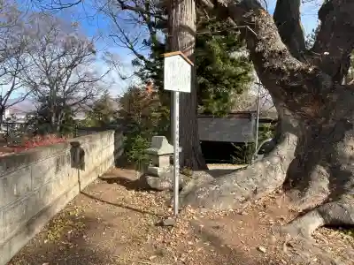 諏訪大社上社前宮(長野県)