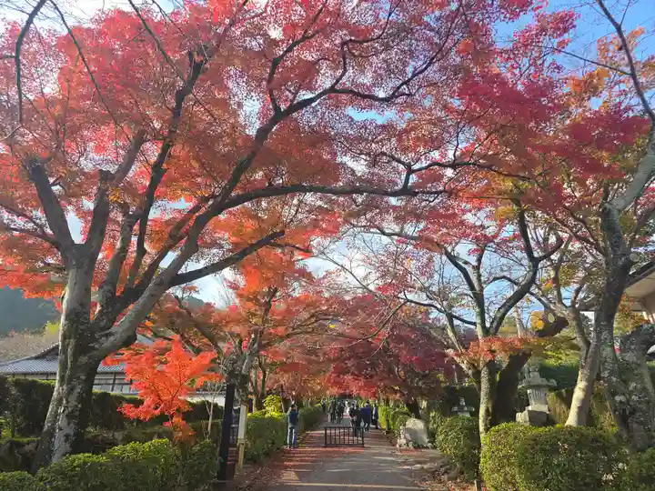 禅明坊(滋賀県)
