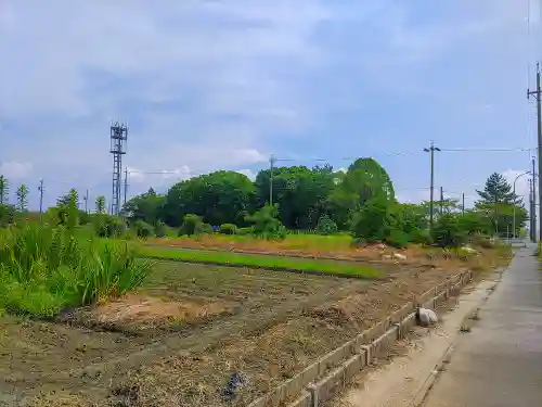 賣夫神社（嫁振）の自然