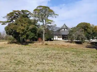雲龍山 本證寺の周辺