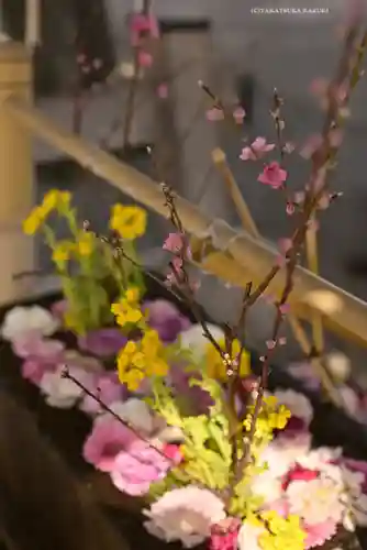 相模原氷川神社(神奈川県)