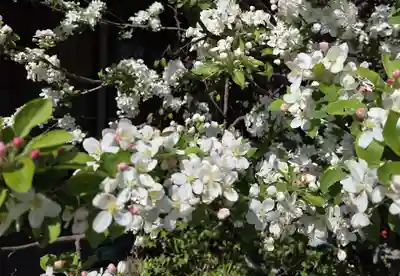 出雲大社倉敷教会(岡山県)