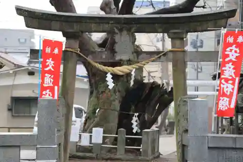 阿邪訶根神社の鳥居