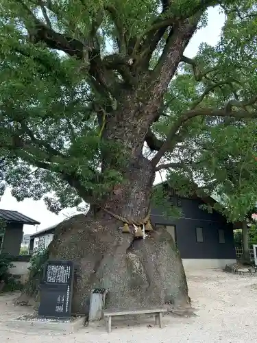 糸碕神社(広島県)