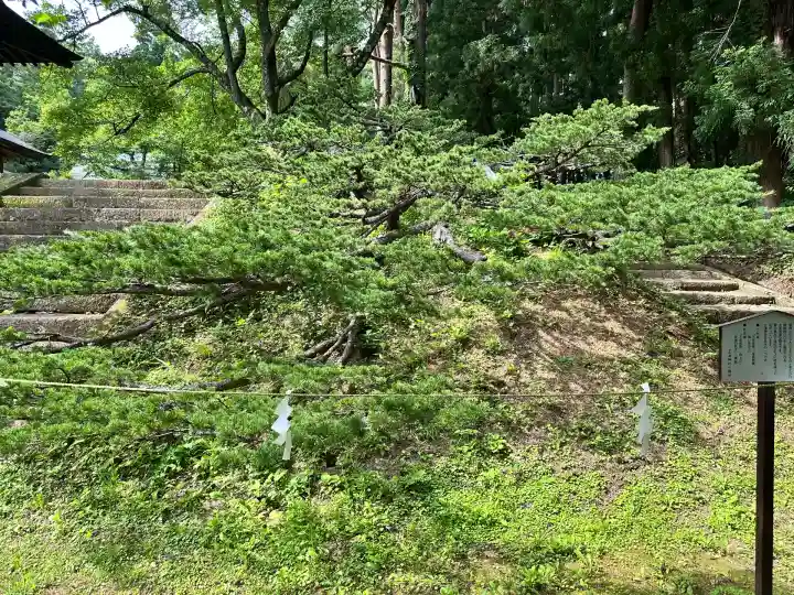 土津神社|こどもと出世の神さま(福島県)