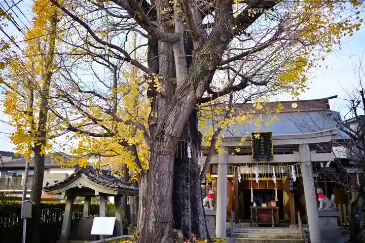 飛木稲荷神社(東京都)