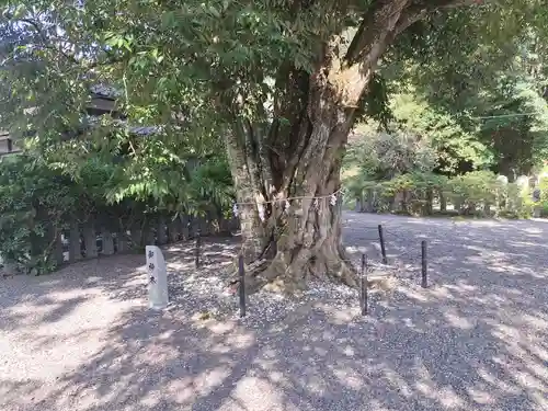 葛城神社妙見宮(福岡県)