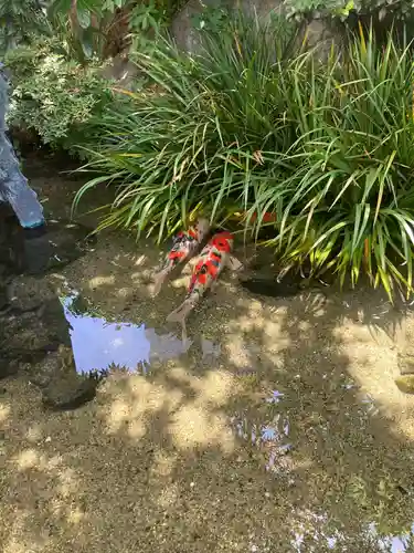 厳嶋神社(東京都)