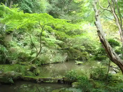 金剛輪寺の庭園