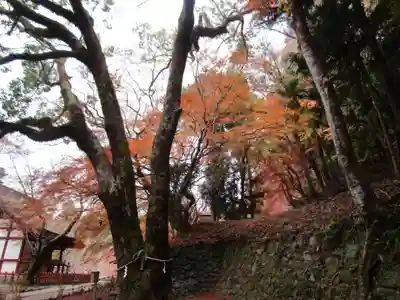 談山神社(奈良県)