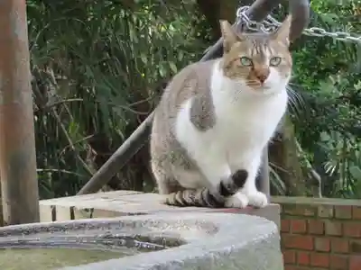 南禅寺(京都府)