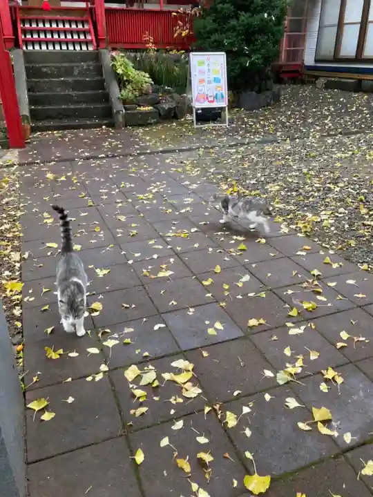 鹿角八坂神社の動物