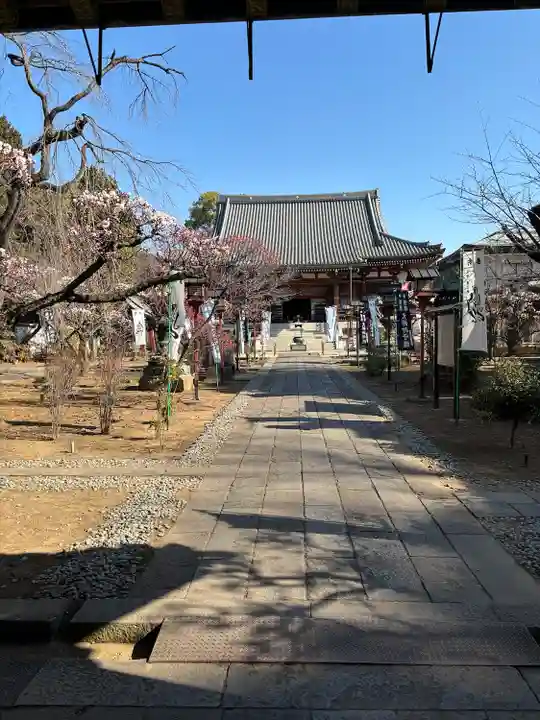 輪王寺両大師堂(寛永寺輪王殿)(東京都)