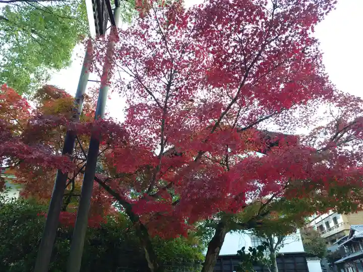 厳島神社(広島県)