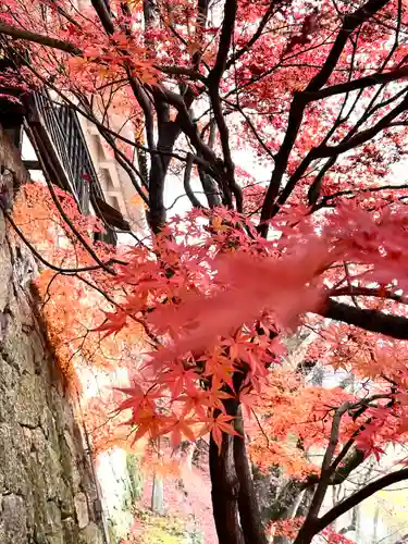 眞田神社の自然