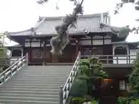 玄国寺の本殿・本堂