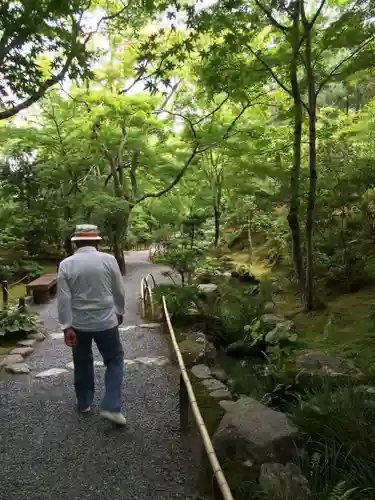 天龍寺の庭園