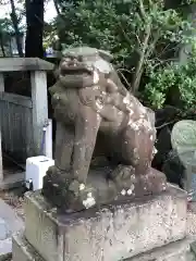 荒井神社の狛犬