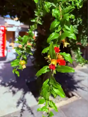 日蓮宗　浄運寺(東京都)