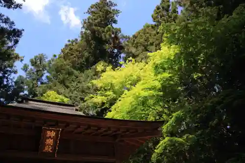 鹿島大神宮の自然