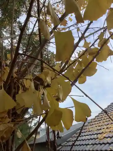 小垣江神明神社の自然