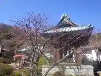 海蔵寺のその他建物