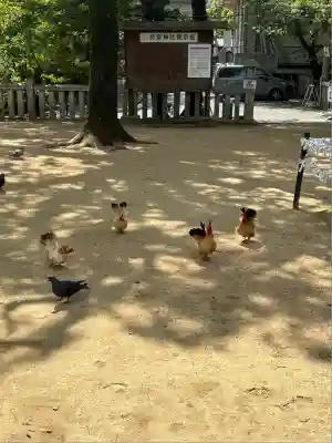 忌宮神社(山口県)