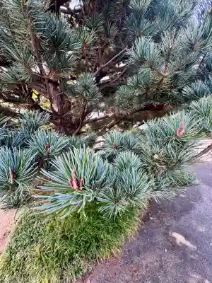 光照院門跡(京都府)