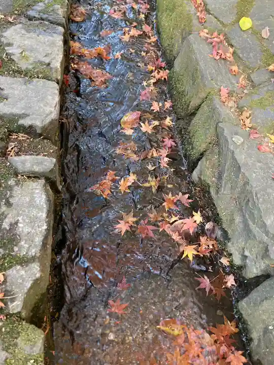法然院(京都府)