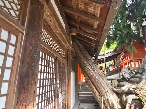 春日大社(奈良県)