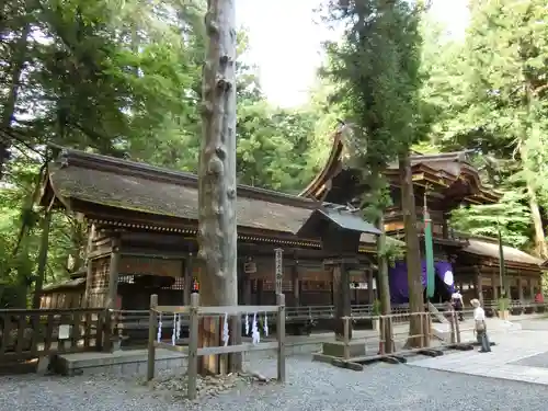 諏訪大社下社春宮の本殿・本堂