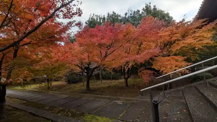 興聖寺(京都府)