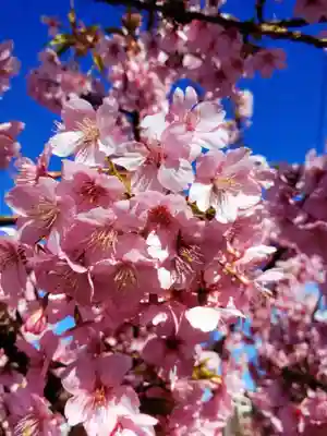 福蔵院(東京都)