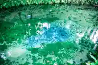 白川吉見神社(熊本県)