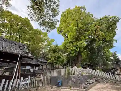 七所神社(愛知県)