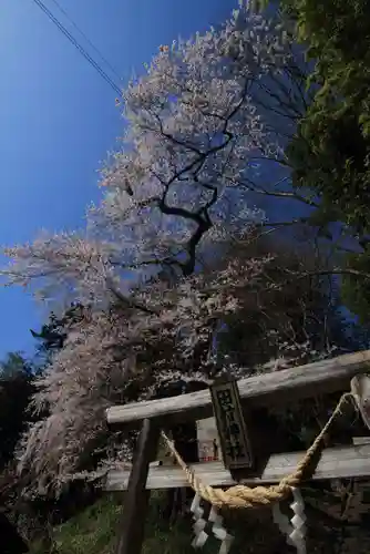 田村神社の鳥居