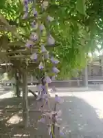 縁盛寺(愛知県)