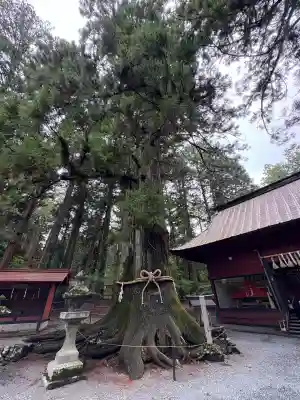 北口本宮冨士浅間神社(山梨県)