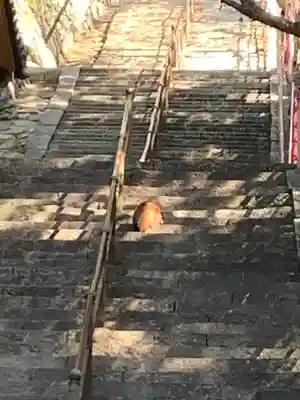 金剛宝寺（紀三井寺）(和歌山県)