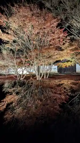 妙覺寺（妙覚寺）(京都府)