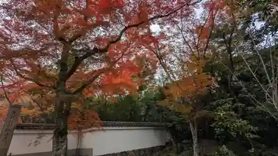 浄住寺(京都府)