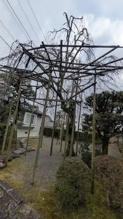 徳乗坊(滋賀県)