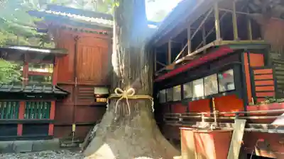北口本宮冨士浅間神社(山梨県)
