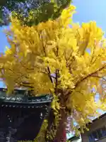 長慶寺(福井県)