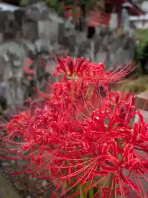 福寿院(東京都)