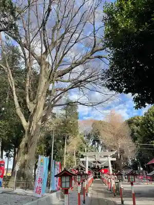 薬師寺八幡宮(栃木県)