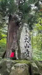 大山寺の建物その他