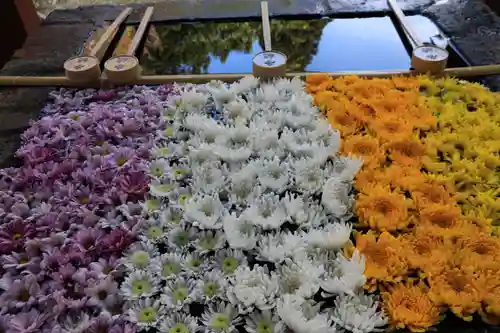 土津神社｜こどもと出世の神さまの手水舎